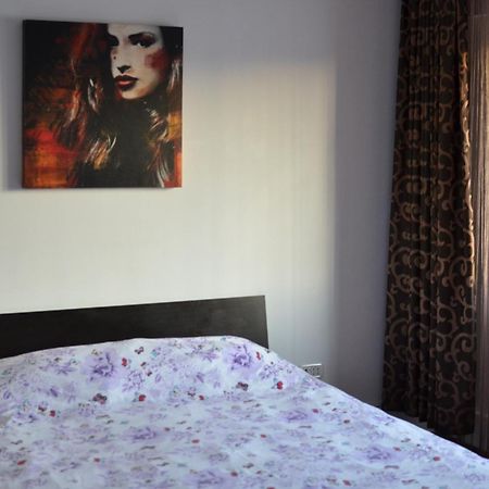 Vila Cu Trandafiri Cozy Apartments 2 Camere Bragadiru Esterno foto
